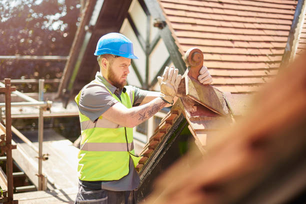 Roof Gutter Cleaning in Ishpeming, MI